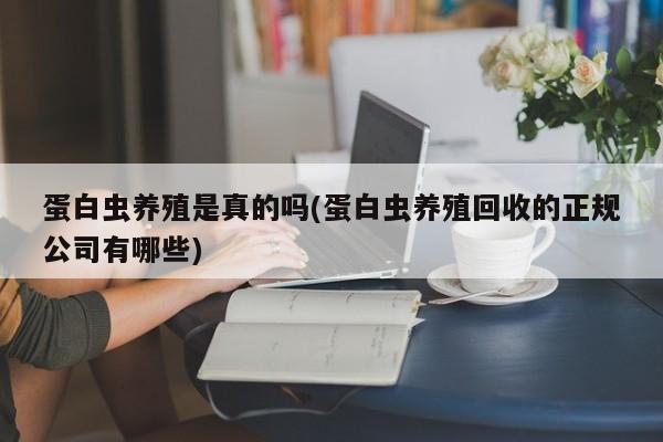 蛋白虫养殖是真的吗(蛋白虫养殖回收的正规公司有哪些)