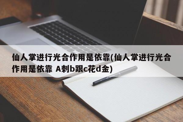 仙人掌进行光合作用是依靠(仙人掌进行光合作用是依靠 A刺b跟c花d金)