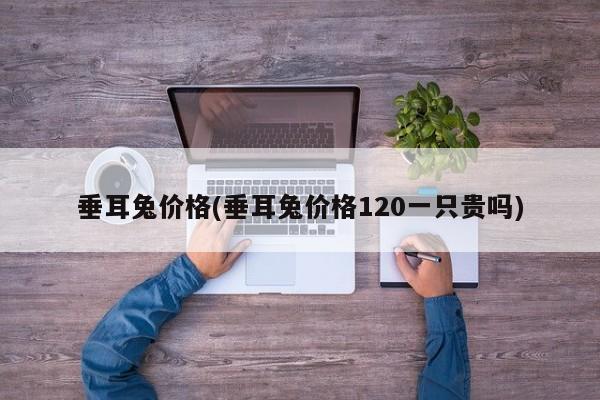 垂耳兔价格(垂耳兔价格120一只贵吗)