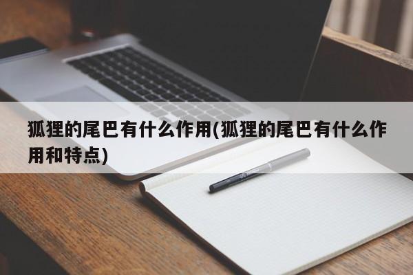 狐狸的尾巴有什么作用(狐狸的尾巴有什么作用和特点)