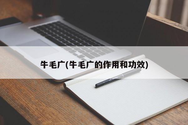 牛毛广(牛毛广的作用和功效)