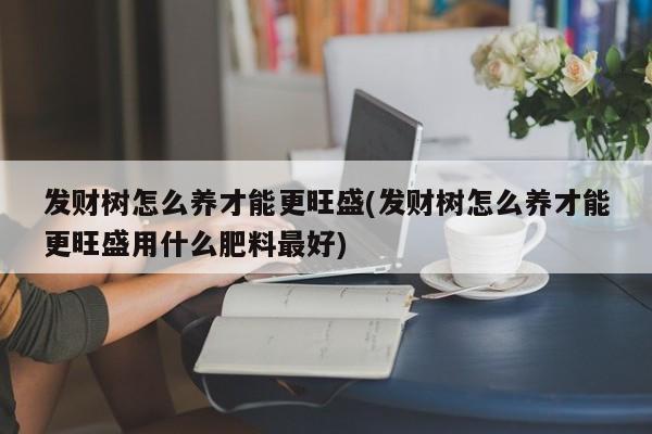 发财树怎么养才能更旺盛(发财树怎么养才能更旺盛用什么肥料最好)