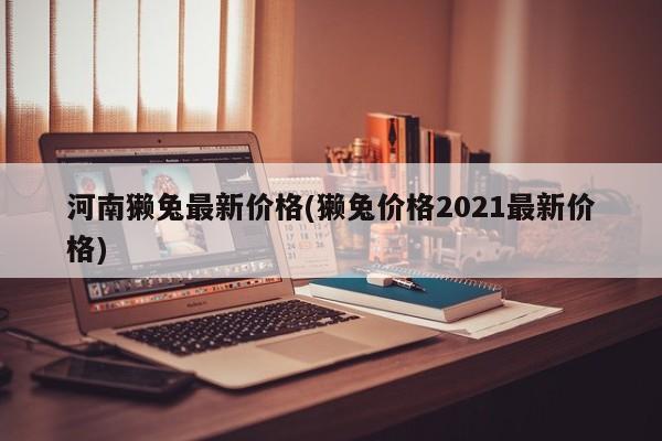 河南獭兔最新价格(獭兔价格2021最新价格)