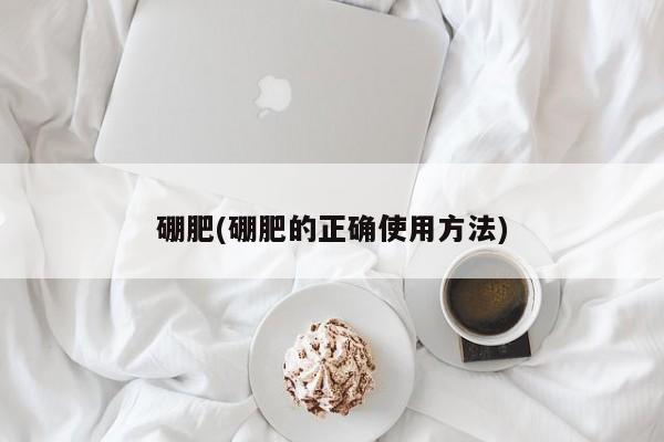 硼肥(硼肥的正确使用方法)